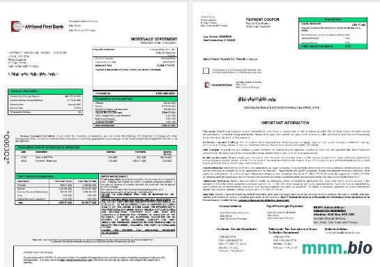 Wyspy Świętego Tomasza i Książęca Afriland First Bank wyciąg z kredytu hipotecznego w formatach Word i PDF 1-2